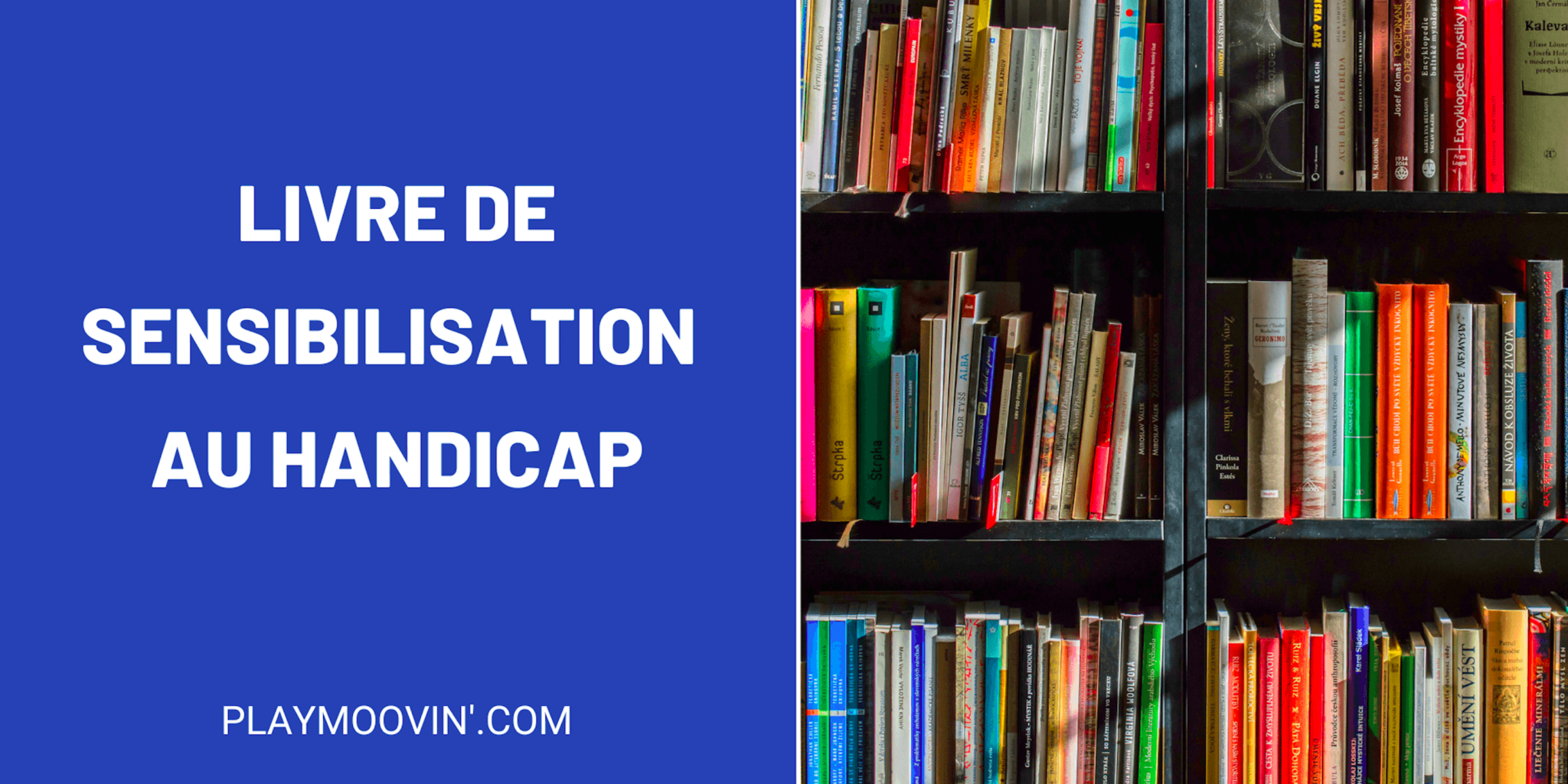 livre sensibilisation handicap